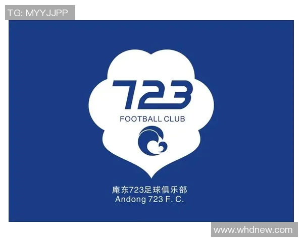 中国足球队队徽设计解析及其在足球文化中的重要性探讨