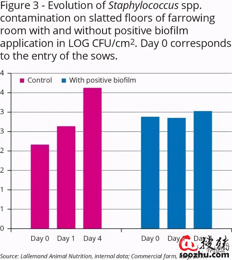 完美体育猪舍消毒后仍有病原国外一种菌液生物膜解决问题(图4)