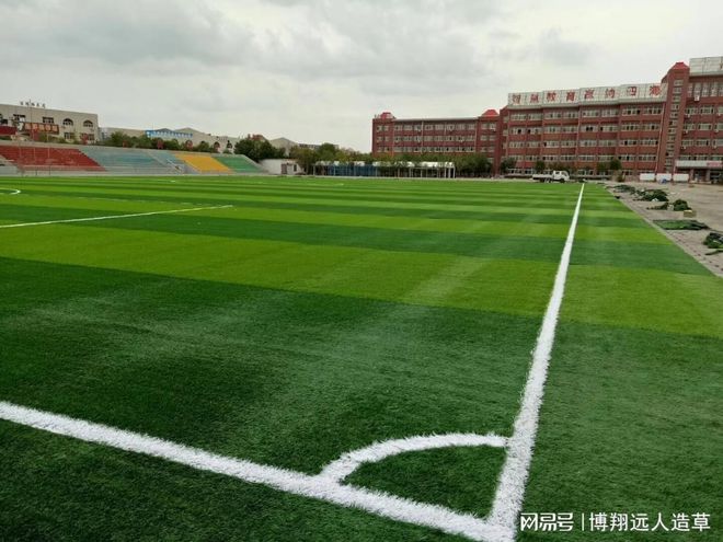 完美体育一个假草足球场需要多少钱(图1)