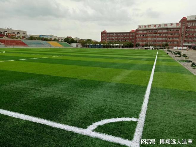 完美体育一个假草足球场需要多少钱(图3)