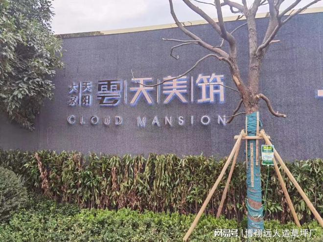 完美体育·(中国)官方网站灰色人造草坪哪里有货能买