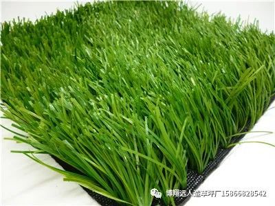 完美体育人工草坪每平方米价格