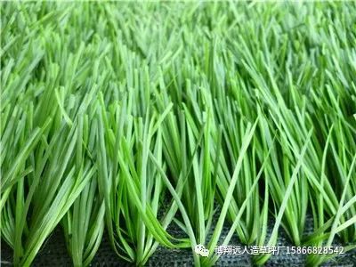 完美体育人工草坪每平方米价格(图2)