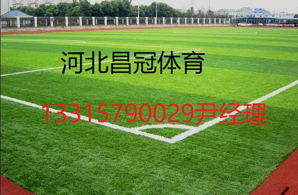 完美体育人造草坪厂家排名