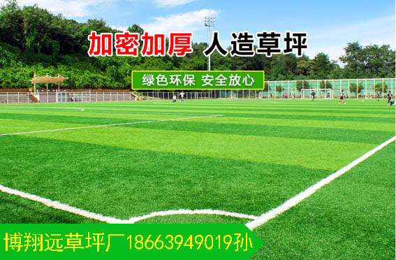 完美体育人造草坪价格便宜的价格