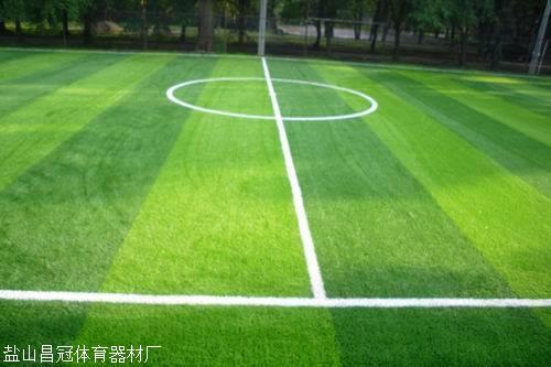 完美体育·(中国)官方网站兰州市人造草坪生产厂家