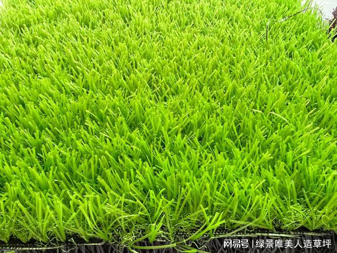 完美体育别错过！人造草坪的神奇颜色揭秘
