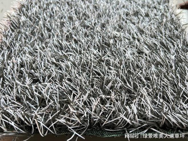 完美体育别错过！人造草坪的神奇颜色揭秘(图3)