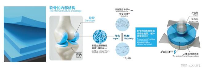 完美体育·(中国)官方网站神奇的缓震创新材料ACF：开启防冲击与减隔振、强缓震新