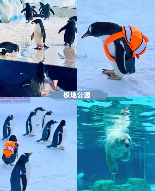 完美体育东北7天6晚全攻略7天6晚东北旅游攻略东北7天6晚游玩攻略！(图7)